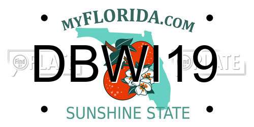 DBWI19 Florida License Plate