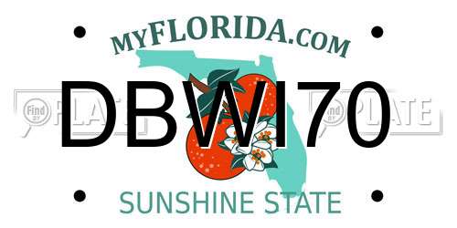 DBWI70 Florida License Plate