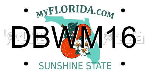 DBWM16 Florida License Plate
