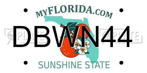 DBWN44 Florida License Plate