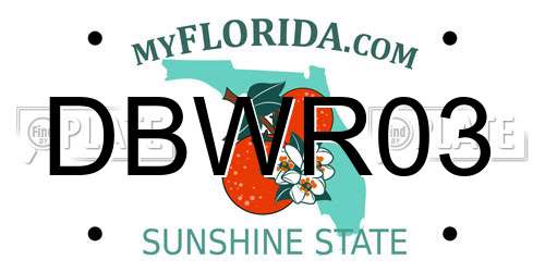 DBWR03 Florida License Plate