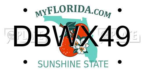 DBWX49 Florida License Plate