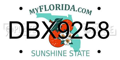 DBX9258 Florida License Plate