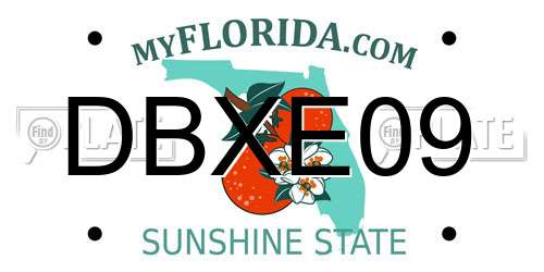 DBXE09 Florida License Plate