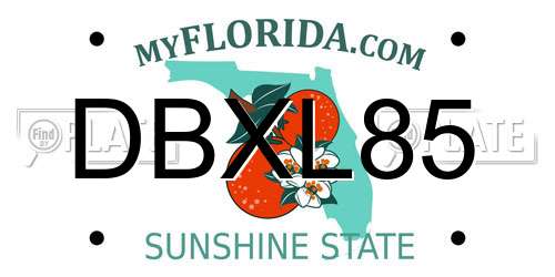 DBXL85 Florida License Plate
