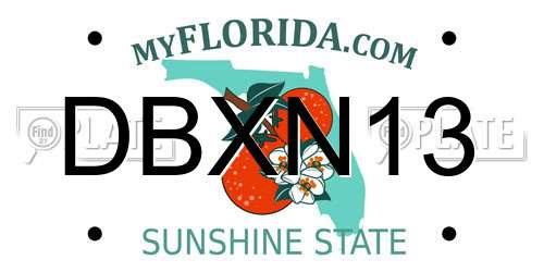 DBXN13 Florida License Plate
