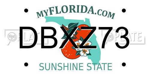 DBXZ73 Florida License Plate