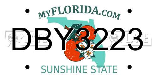 DBY3223 Florida License Plate