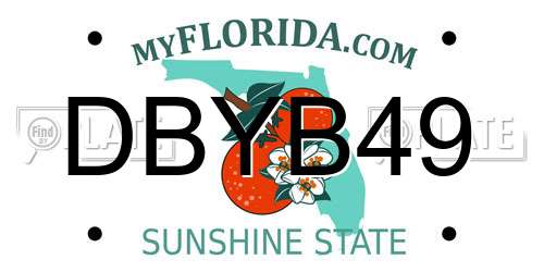 DBYB49 Florida License Plate