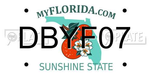 DBYF07 Florida License Plate