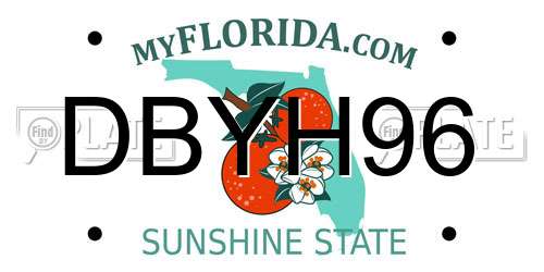 DBYH96 Florida License Plate