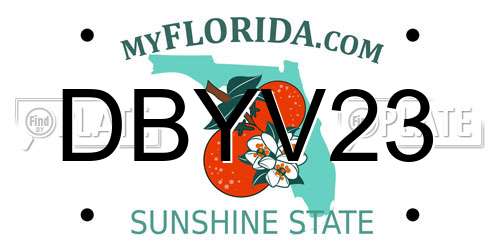 DBYV23 Florida License Plate