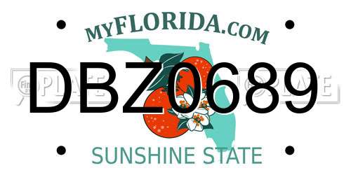 DBZ0689 Florida License Plate