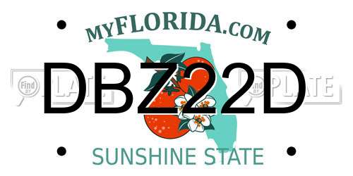 DBZ22D Florida License Plate