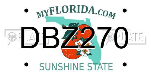 DBZ270 Florida License Plate