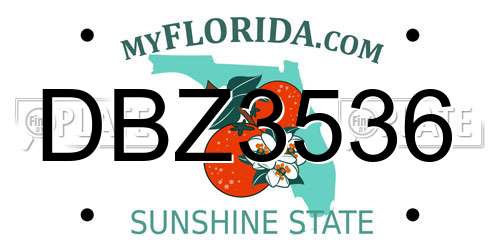 DBZ3536 Florida License Plate
