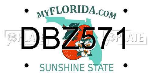 DBZ571 Florida License Plate