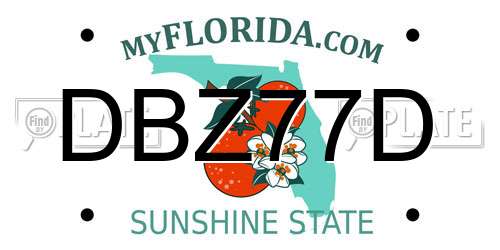 DBZ77D Florida License Plate