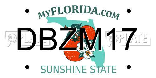 DBZM17 Florida License Plate