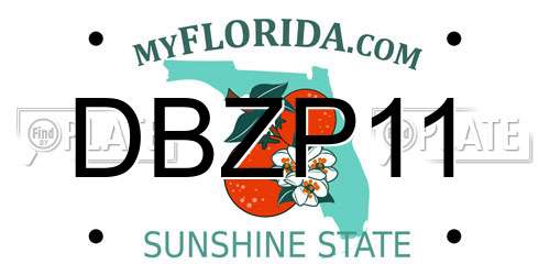 DBZP11 Florida License Plate