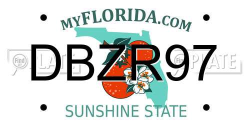 DBZR97 Florida License Plate