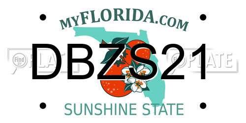 DBZS21 Florida License Plate