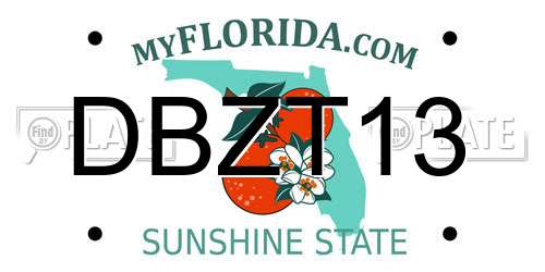 DBZT13 Florida License Plate