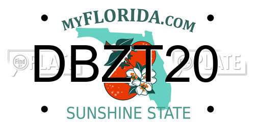 DBZT20 Florida License Plate