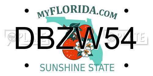 DBZW54 Florida License Plate