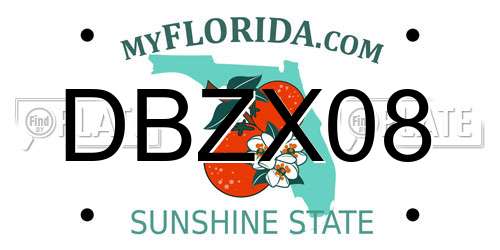 DBZX08 Florida License Plate