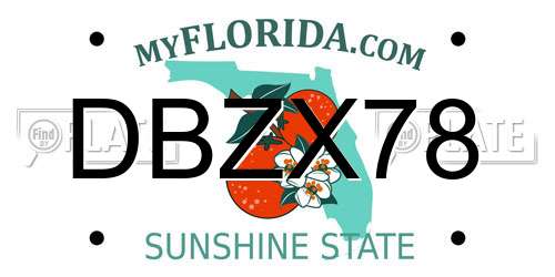 DBZX78 Florida License Plate