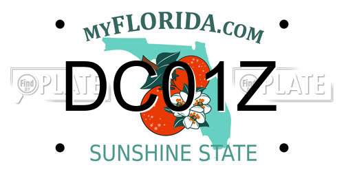 DC01Z Florida License Plate