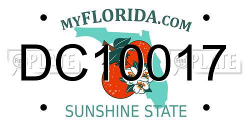 DC10017 Florida License Plate
