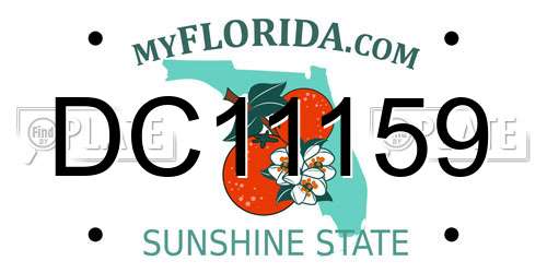 DC11159 Florida License Plate