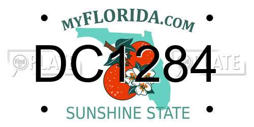 DC1284 Florida License Plate