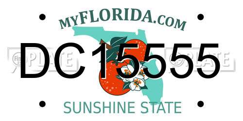 DC15555 Florida License Plate
