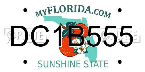 DC1B555 Florida License Plate