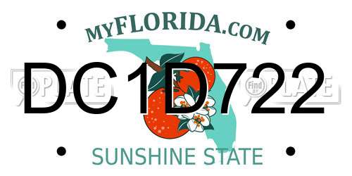 DC1D722 Florida License Plate