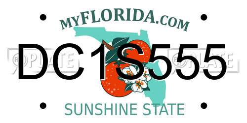DC1S555 Florida License Plate