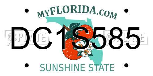 DC1S585 Florida License Plate