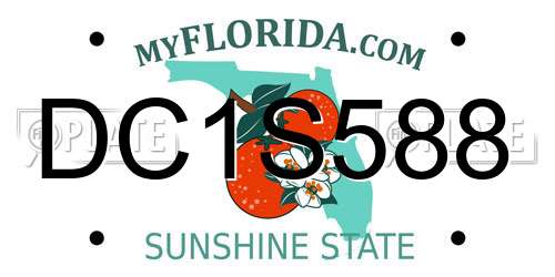DC1S588 Florida License Plate