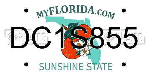DC1S855 Florida License Plate
