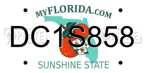DC1S858 Florida License Plate