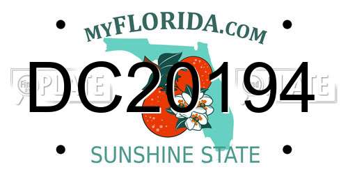 DC20194 Florida License Plate
