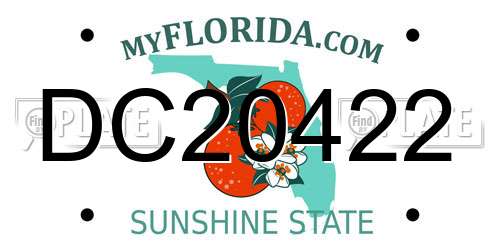 DC20422 Florida License Plate