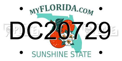 DC20729 Florida License Plate