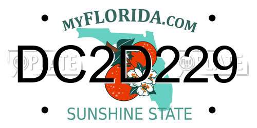 DC2D229 Florida License Plate