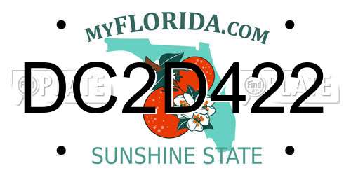 DC2D422 Florida License Plate
