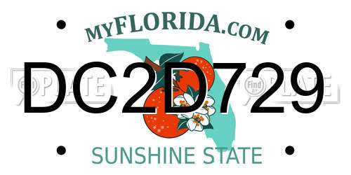 DC2D729 Florida License Plate