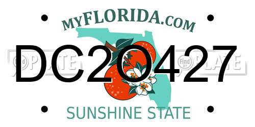 DC2O427 Florida License Plate